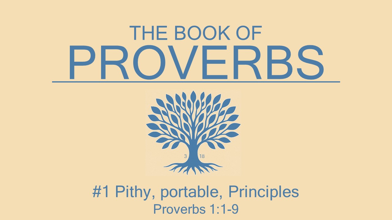 #1 Pithy portable principles
