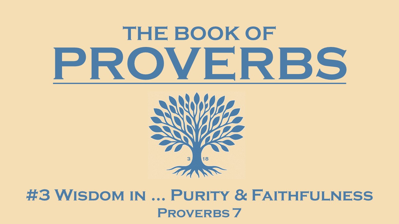 #3 Wisdom in purity & faithfulness