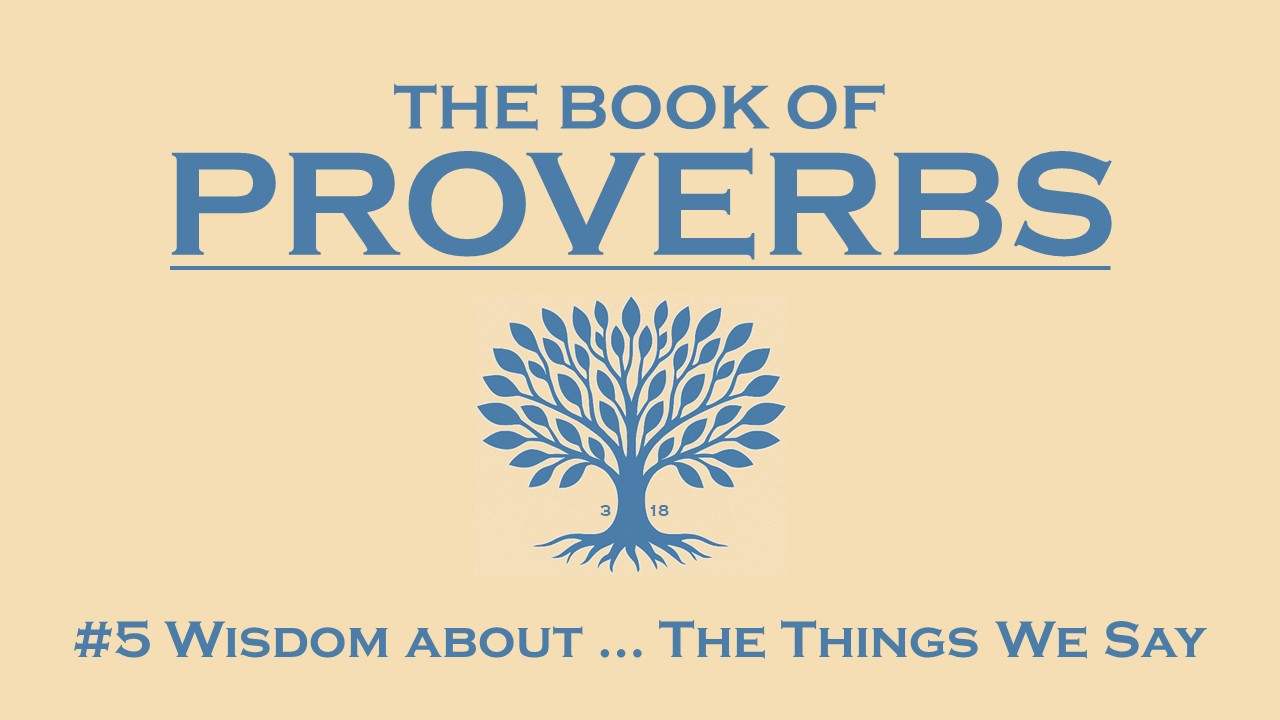 #5 Wisdom about the things we say