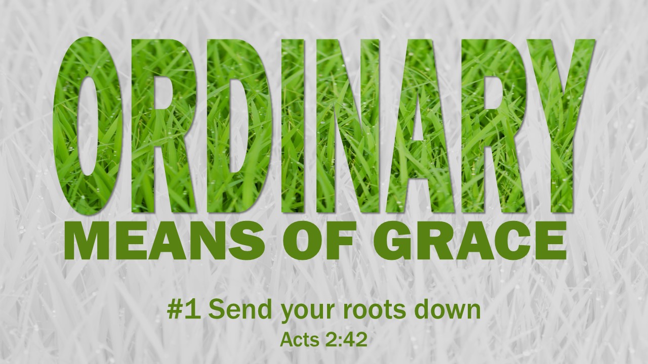 #1 Send your roots down