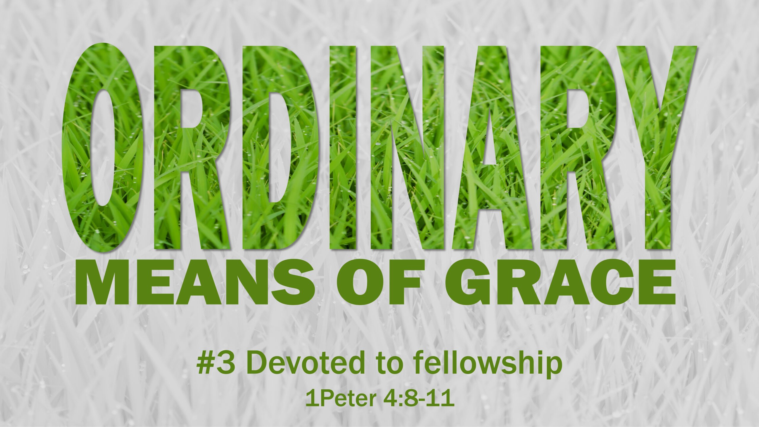 #3 Devoted to fellowship