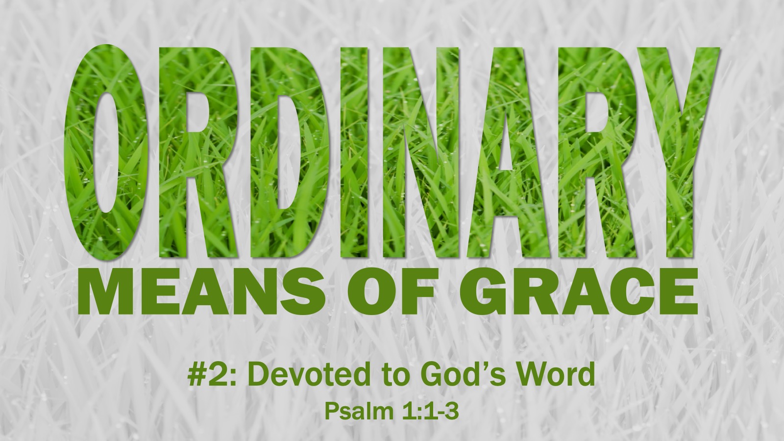 #2 Devoted to God’s word